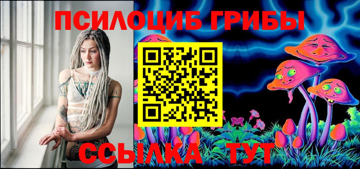 Кувандык  Псилоцибиновые грибы ЛСД  Псилоцибиновые грибы ЛСД  Вход с VPN 